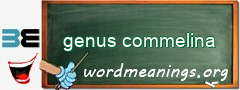 WordMeaning blackboard for genus commelina